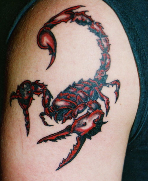 10 Unforgettable Scorpion Tribal Tattoo Designs And Ideas