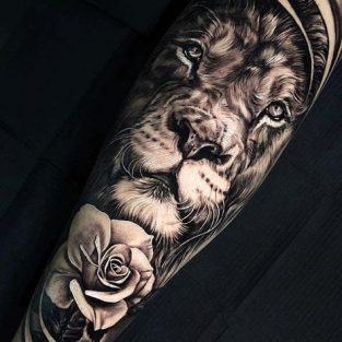 12 Best Lion And Rose Tattoo Designs Petpress