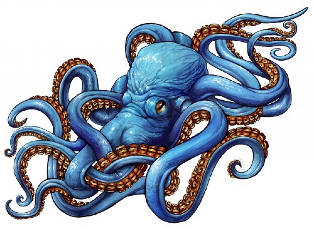 120 Best Marine Octopus Tattoos Designs Meanings 2019