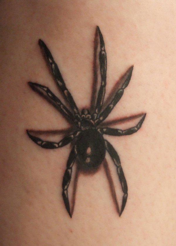 15 Popular Spider Tattoo Designs With Meanings