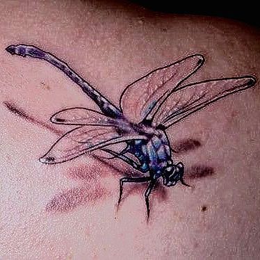 150 Most Realistic 3D Tattoos Ultimate Guide May 2020