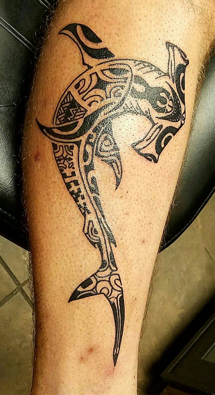 16 Tribal Hammerhead Shark Tattoo Ideas Tattoo Ideas