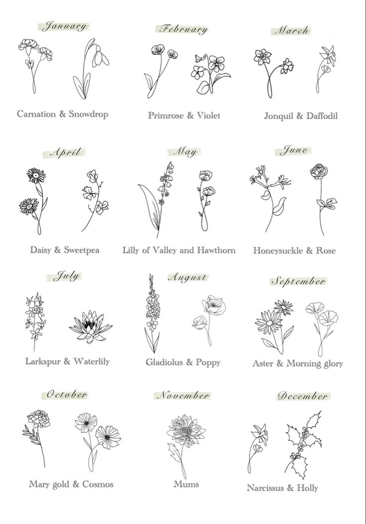 20 August Birth Flower Tattoo Ideas For Females