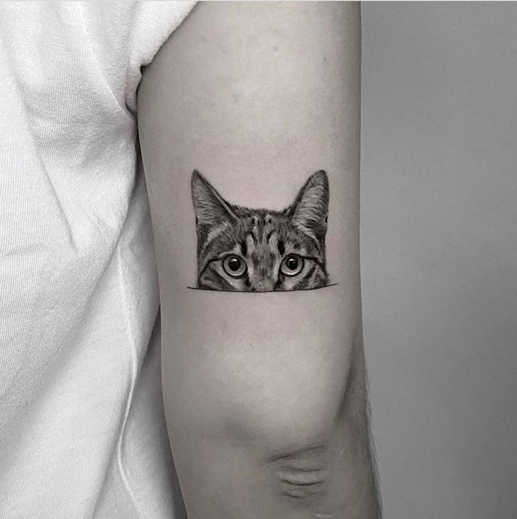 20 Beautiful Pet Tattoo Ideas The Xo Factor Cat Face Tattoos Mini Tattoos Body Art Tattoos