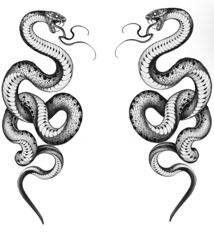 21 King Cobra Tattoo Designs Ideas Petpress