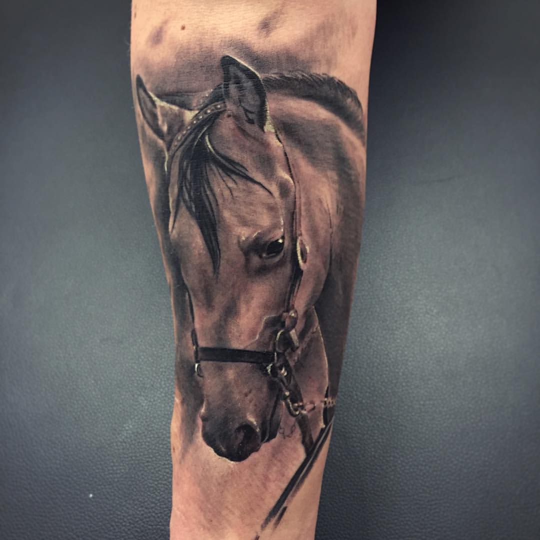 25 Of The Best Horse Tattoos Tatuagem De Cavalo Tatuagem Cavalo