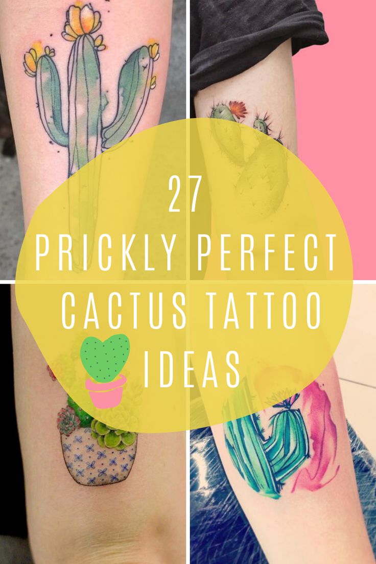 27 Prickly Perfect Cactus Tattoo Ideas Tattooglee Cactus Tattoo