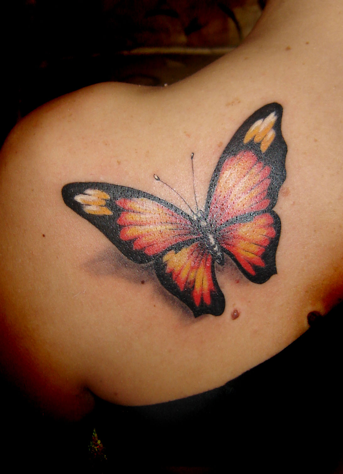 3D Butterfly Tattoo Design Unique Butterfly Tattoos Butterfly