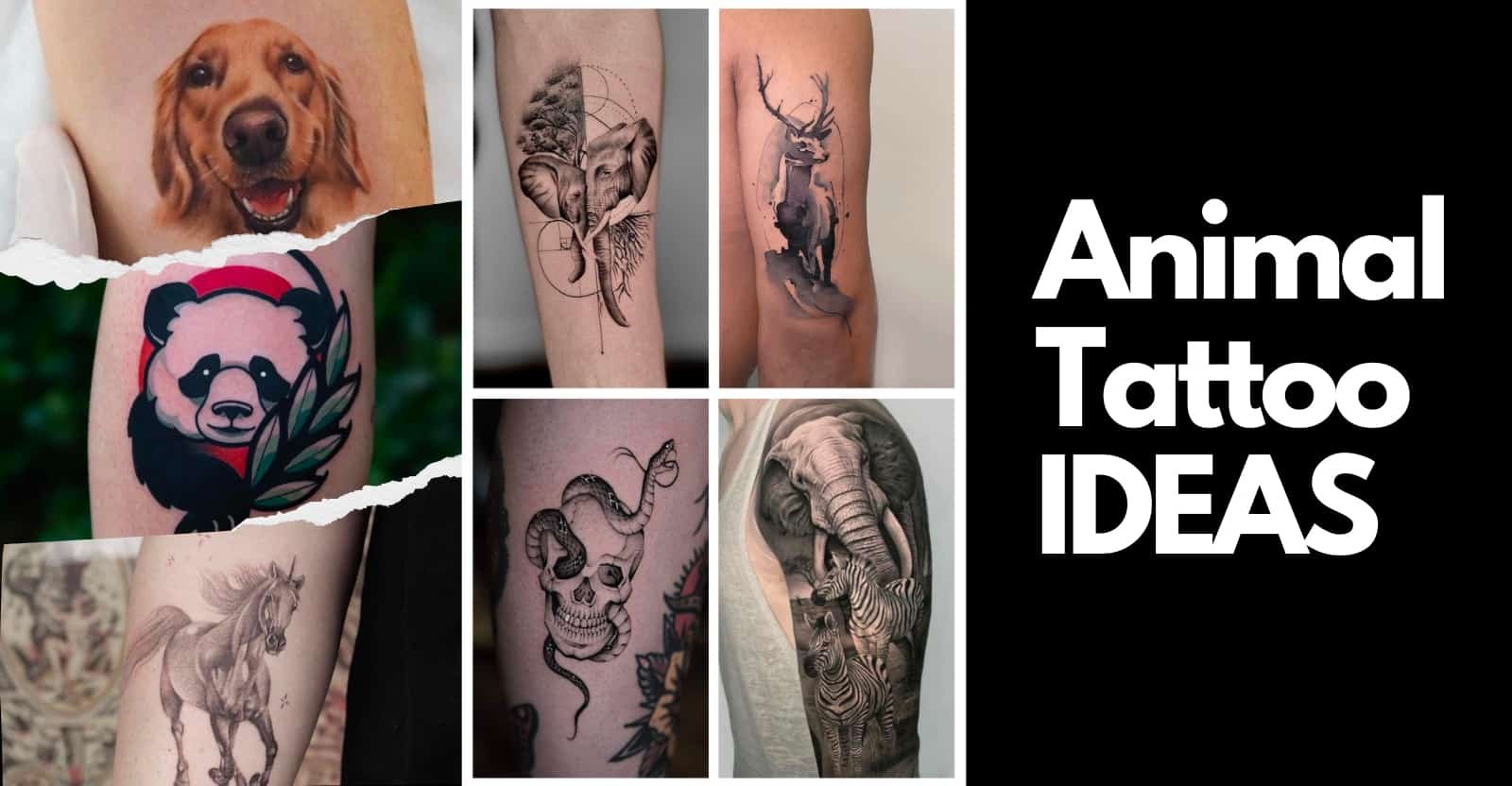 45 Awesome Animal Tattoos Ideas Wild Animal Tattoo Designs Golfian Com