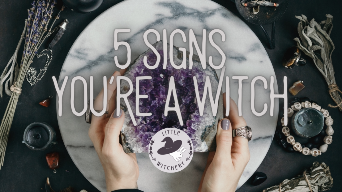 5 Signs You Re A Witch Little Witchery