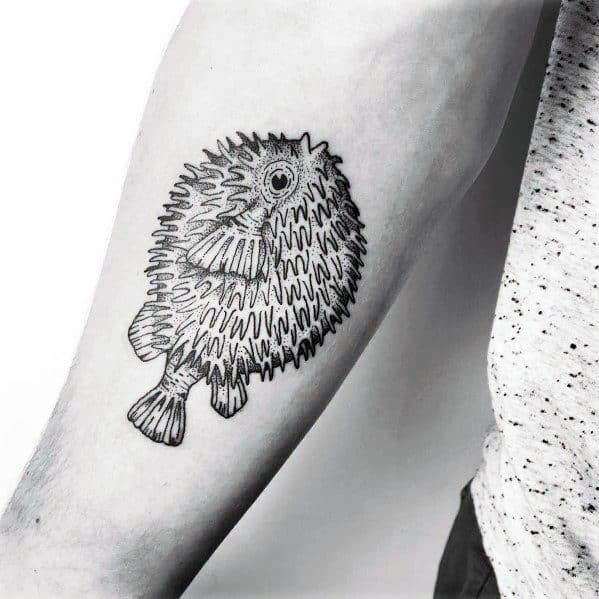 50 Pufferfish Tattoo Ideas For Men Tetraodontidae Blowfish Designs