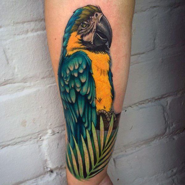 60 Parrot Tattoo Designs For Men Mimicry Ink Ideas