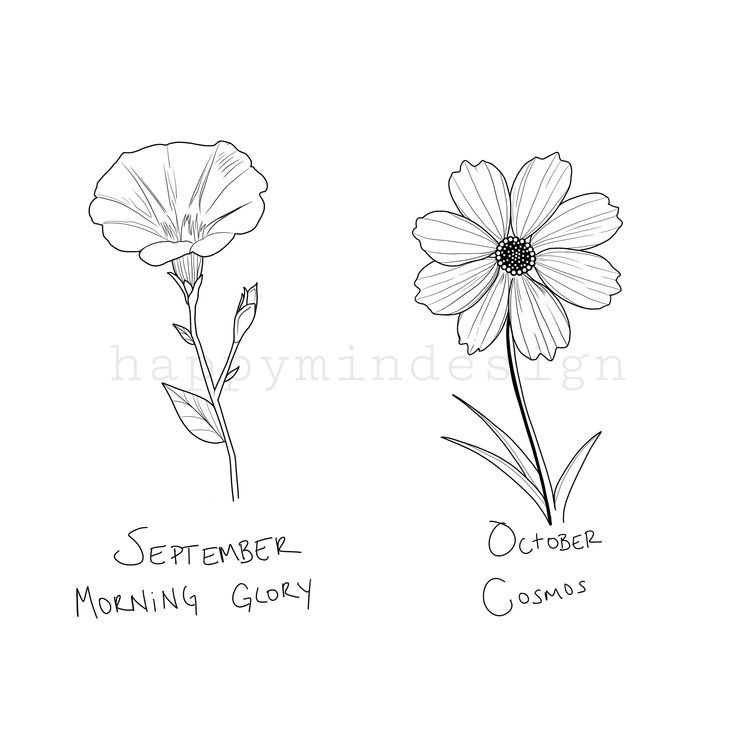 70 Beautiful Tattoo Designs For Women Cosmos Birth Month Flowers I Take You Wedding