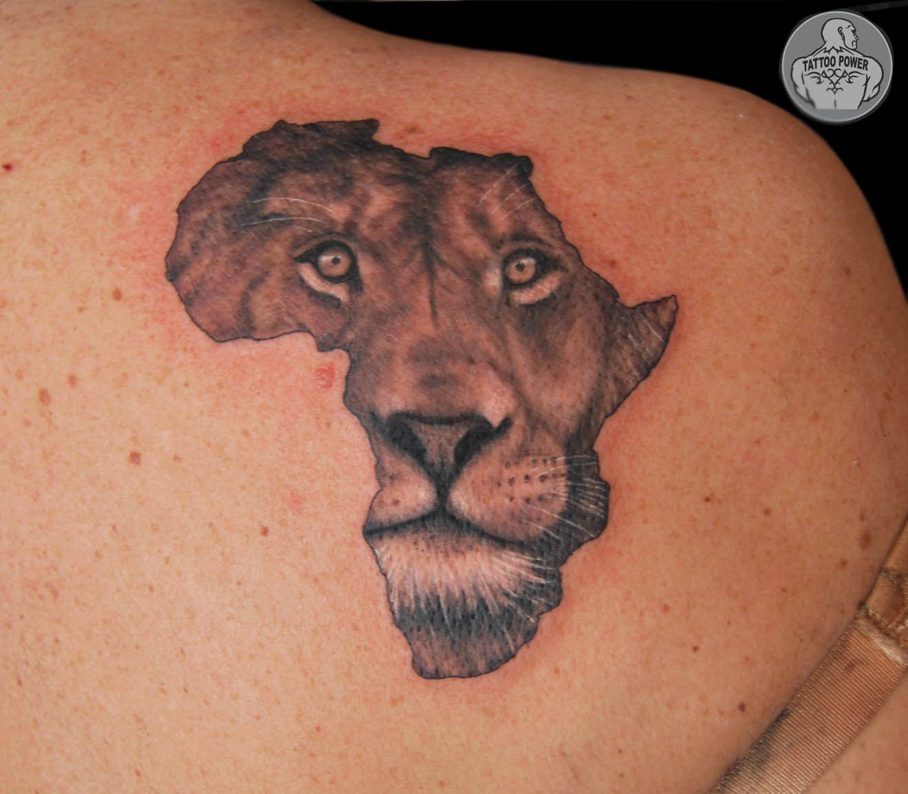 Africa Map Lion Face Outline Tattoo Ideas Map Tattoos Face Outline The Best Porn Website