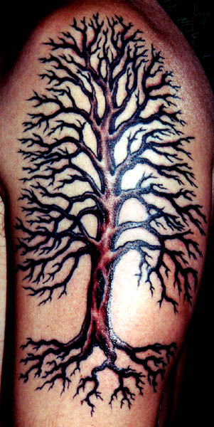 Aggregate More Than 65 Owl Tree Tattoo In Eteachers