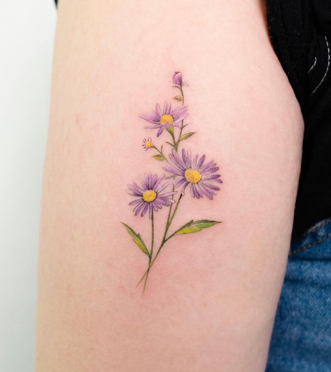 7 Meaningful Aster Tattoo Ideas and Designs