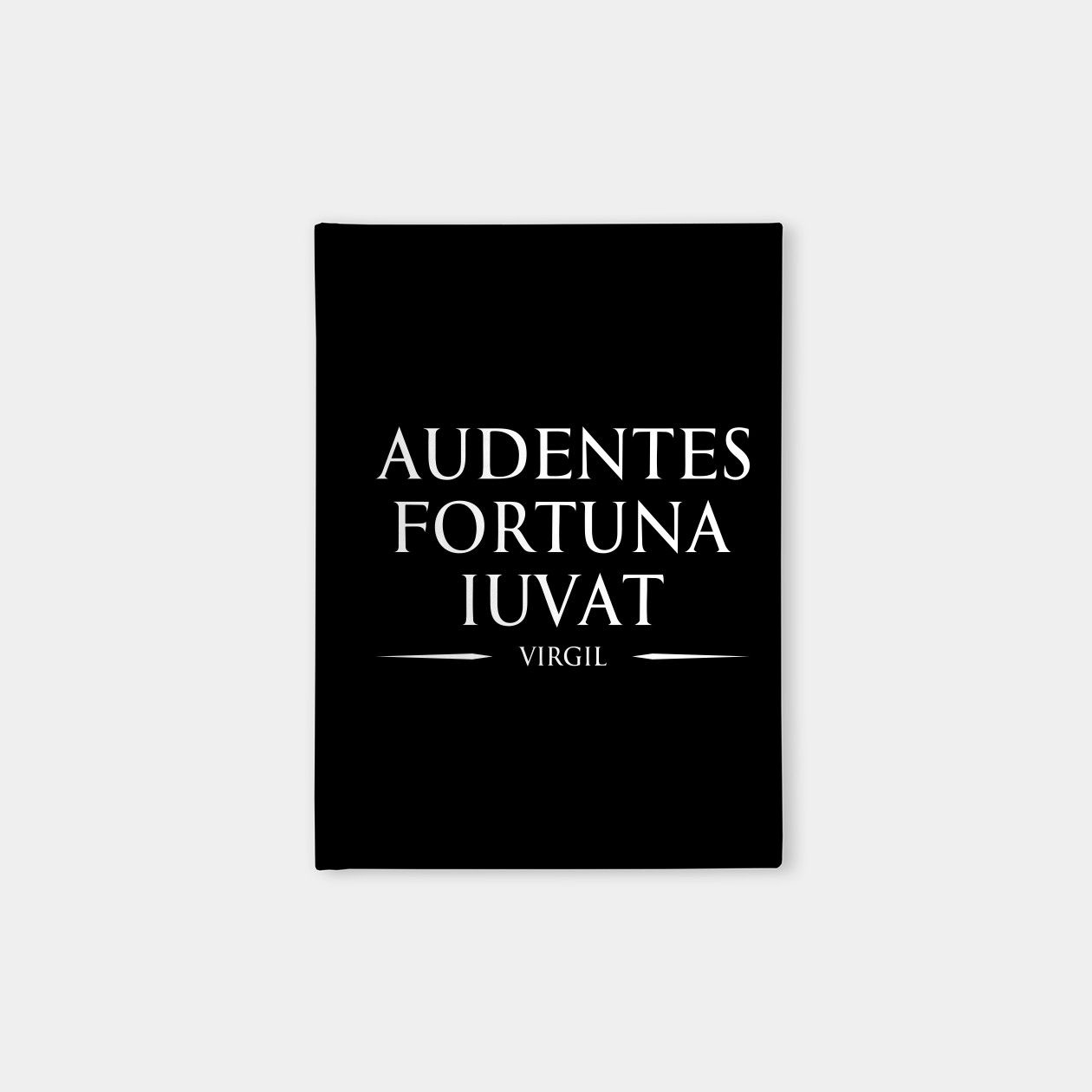 Audentes Fortuna Iuvat Fortune Favours The Bold Virgil In Latin