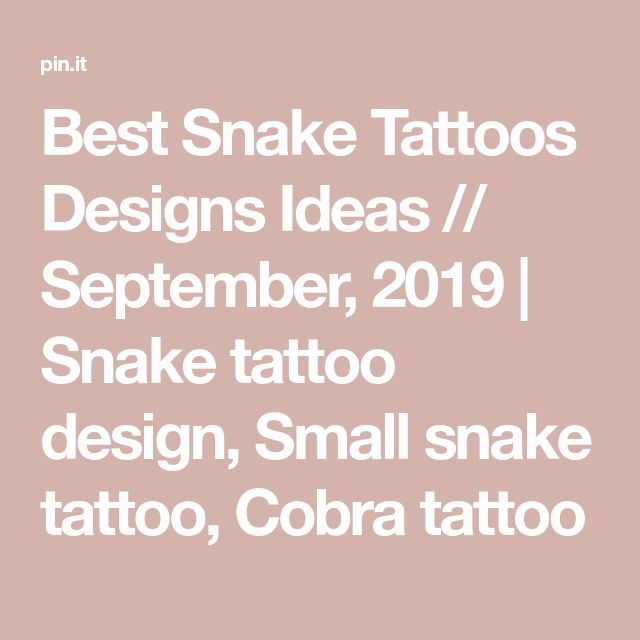 Best Snake Tattoos Designs Ideas February 2021 Snake Tattoo