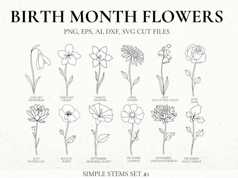 Birth Month Flower Svg Bundle Bouquet Clipart Floral Svg Etsy August Flower Tattoo September