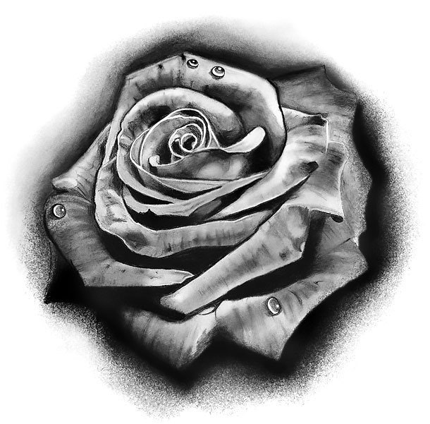 Black and Gray Rose Tattoo Designs and Meanings