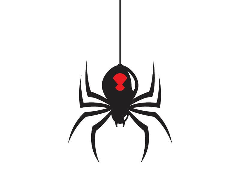 7 Meanings Behind the Black Widow Tattoo