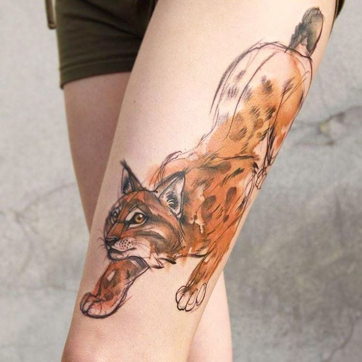 10 Bobcat Tattoo Designs That Embody Fierce Spirit