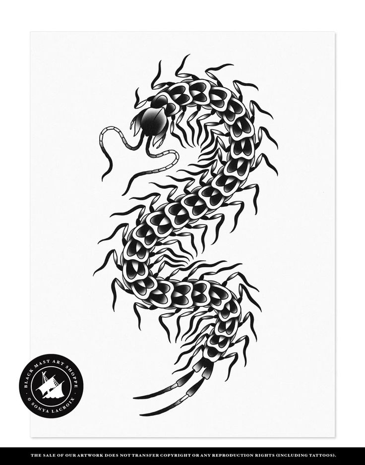 7 Unique Centipede Tattoo Design Ideas