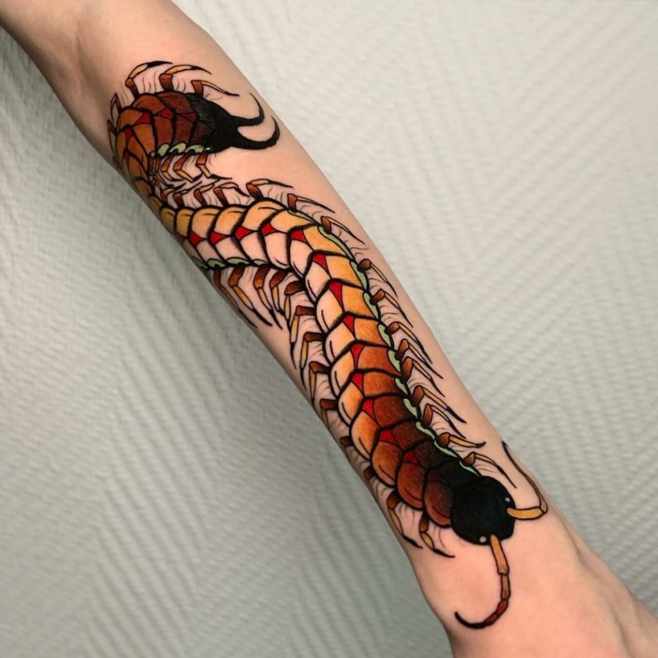 Centipede Tattoo Sleeve