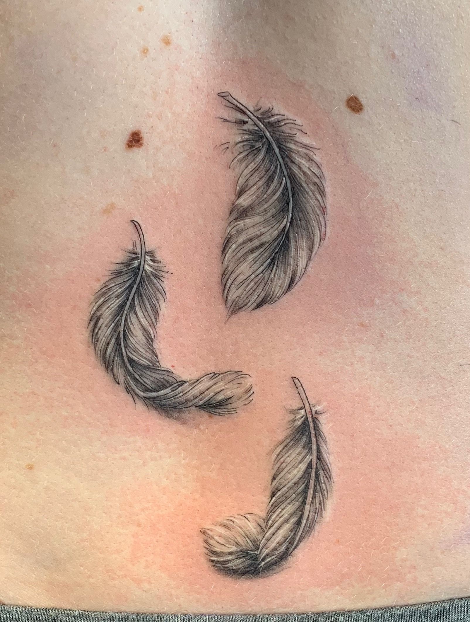 Delicate Feather Tattoo Artofit