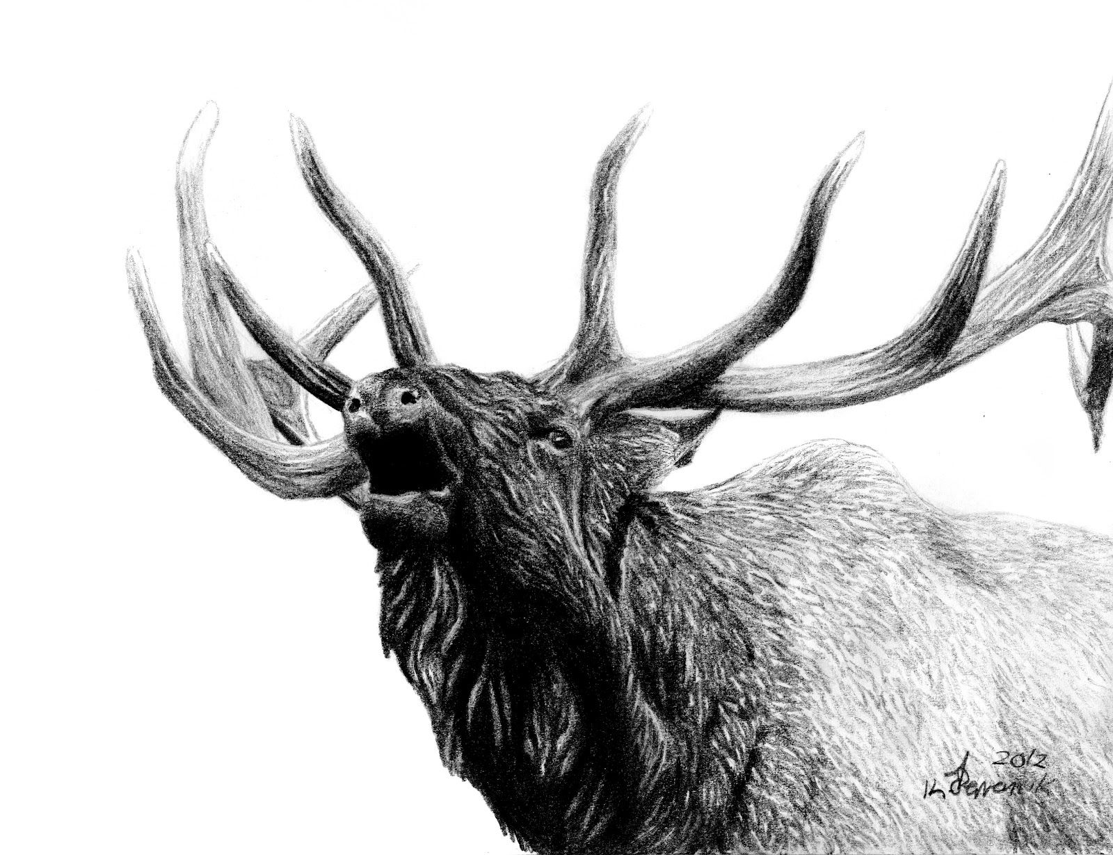 Elk Head Tattoo