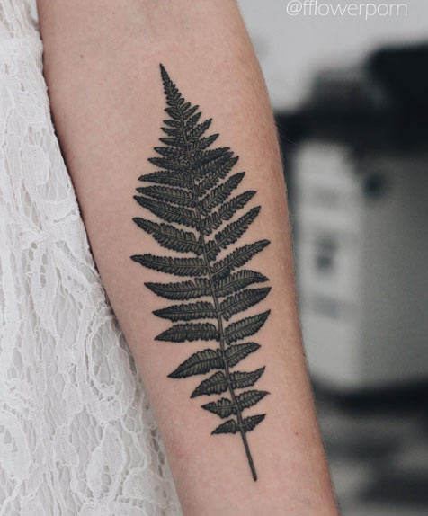 Fern Tattoo Designs For Females