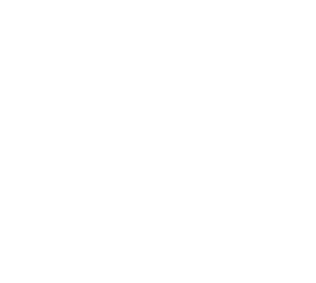 First Ink Common Loon Odyssey Wellness Tattoo In Brookline Ma R