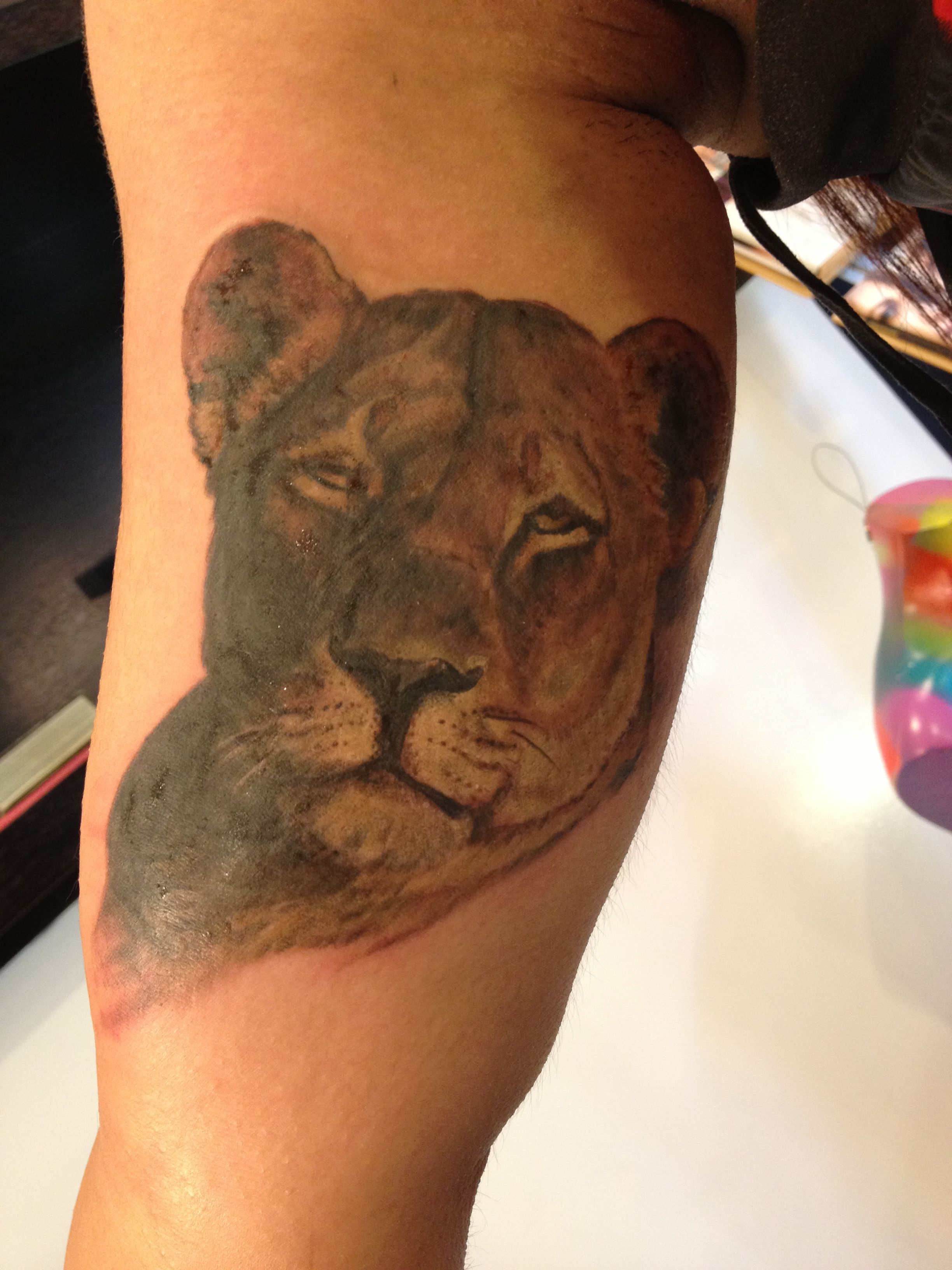 Fresh Ink Lioness Tattoo By Mikey Cubs Tattoo Tiger Tattoo Lion