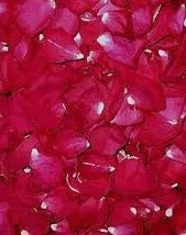 Fresh Rose Petals Blume Designed By Victoria Swarovski