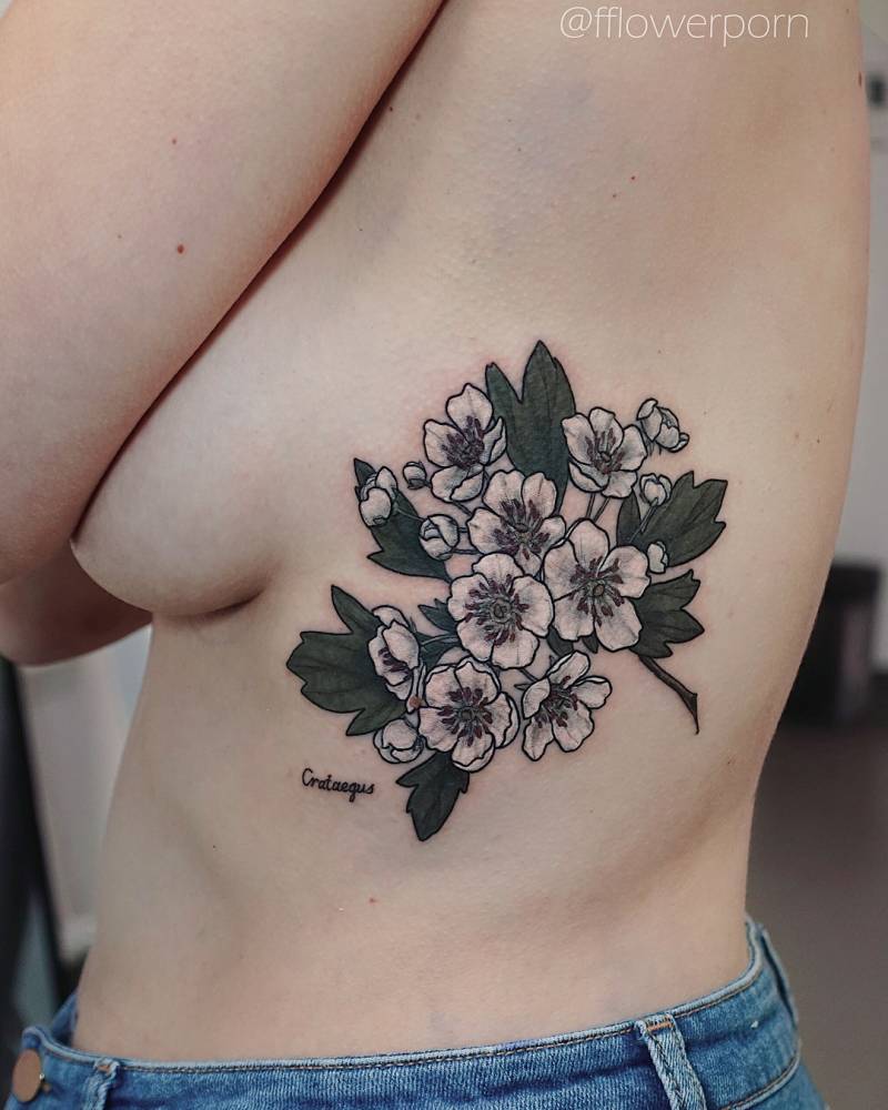 Hawthorn Flower Tattoo Designs Best Flower Site