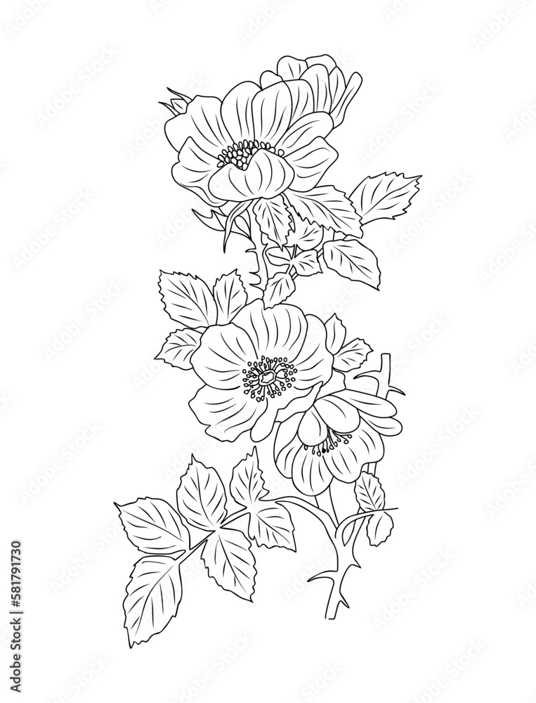 Hawthorn May Birth Month Flower Line Art Stock Vector Illustration Of Graphic Tattoo 272187848