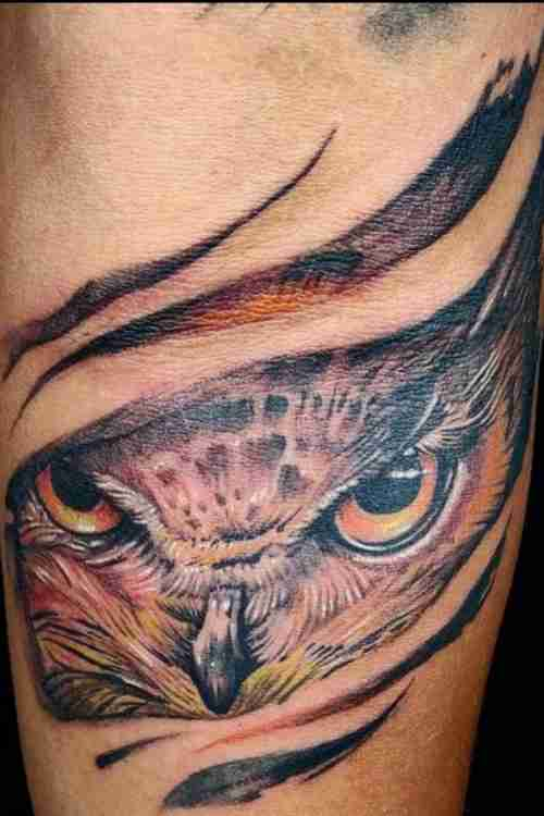 Hoo Hoo Tattoo Owl Tattoo Guide With Meanings Amp 50 Examples Tattoo Stylist