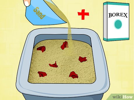 How To Preserve Rose Petals