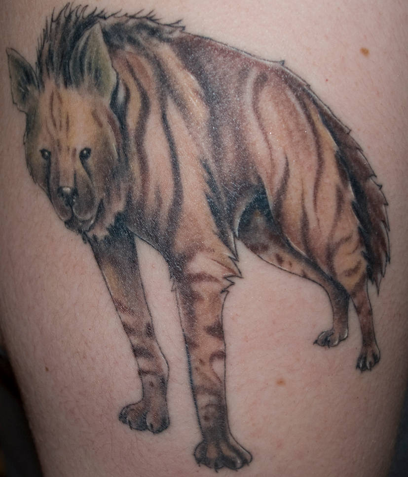 Hyena Tattoo By Macropus Rufus On Deviantart