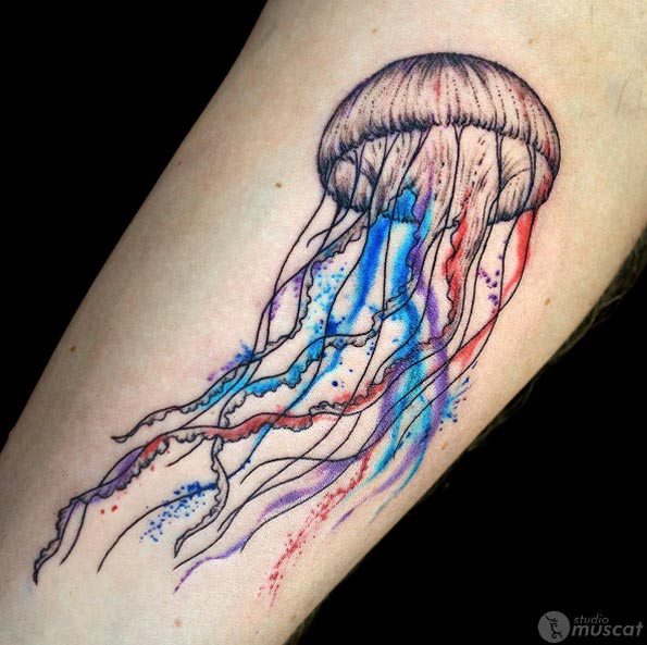 Jellyfish Sketch Style Tattoos Jellyfish Tattoo Inspirational Tattoos