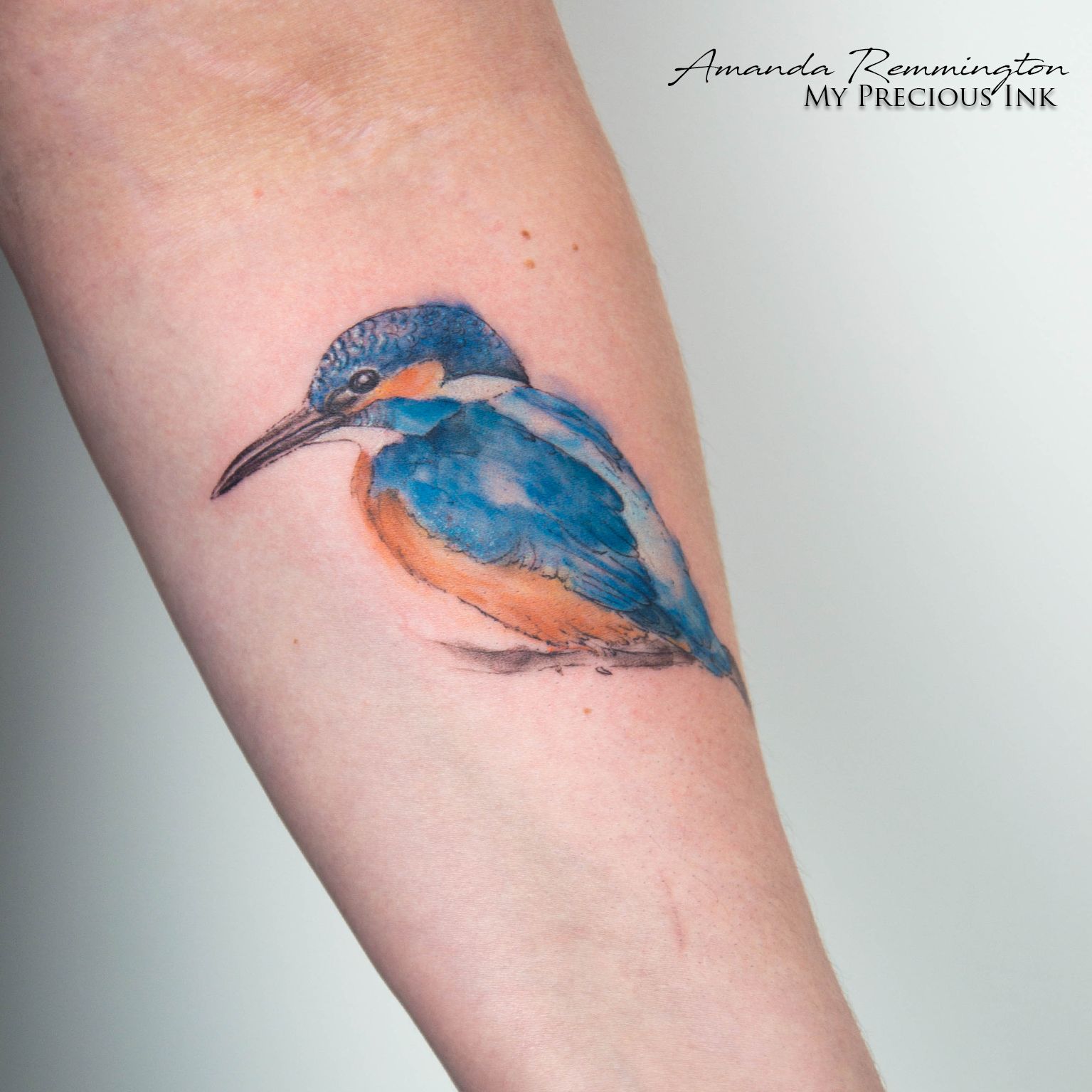 Kingfisher Tattoo Kingfisher Tattoo Blue Tattoo Butterfly Tattoo