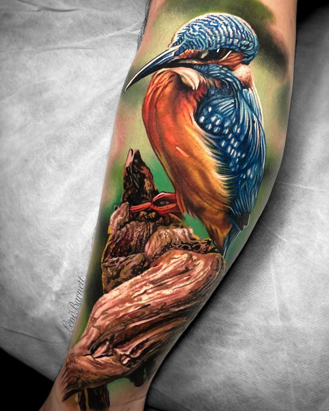 Kingfisher Tattoo Meaning and Designs Inspiration