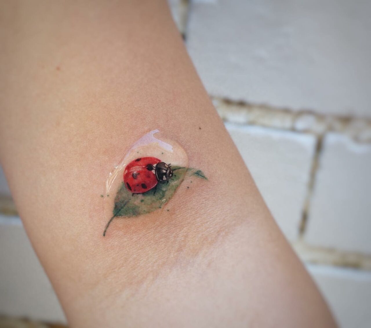 Ladybug Tattoo Tattoo Ideas And Inspiration Lady Bug Tattoo Cute