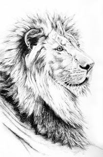 Lion Tattoo Symbolism and Its Powerful Meaning Revealed