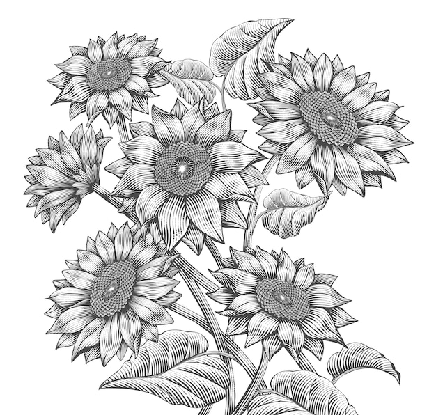 Maybe Change Vines To Black Flowers To Sunflowers Outer Shading In A