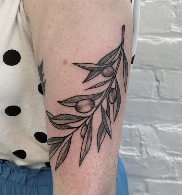 7 Inspiring Olive Branch Tattoo Designs