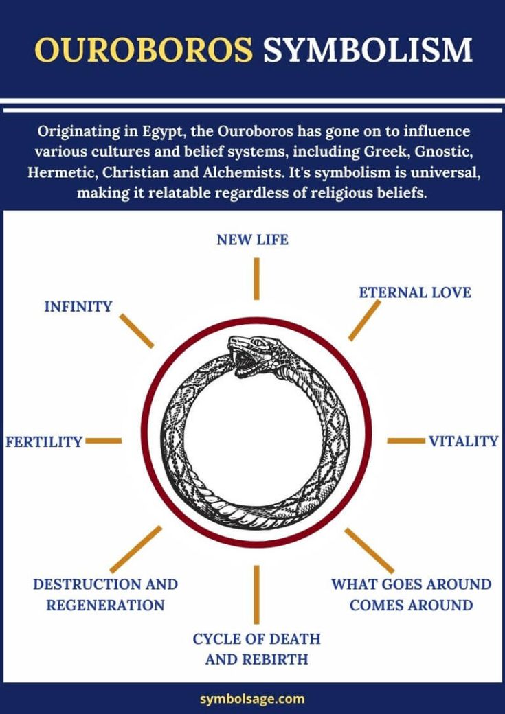 Ouroboros Symbol Meaning Interesting Facts And Origins