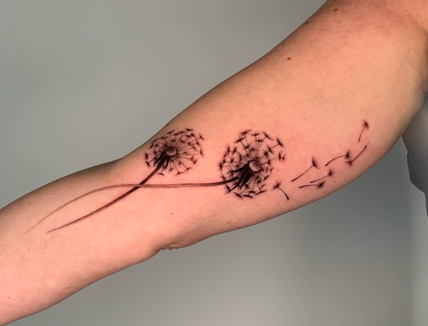 Pin By Kristina Amor On Tattoos In 2023 Dandelion Tattoo Design