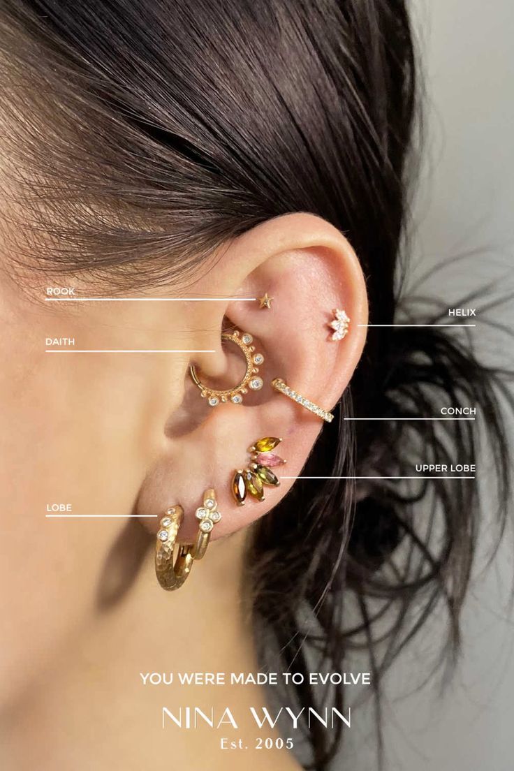 Pin By Rishika Goyal On Ear Piercings Ear Piercings Chart Pretty Ear