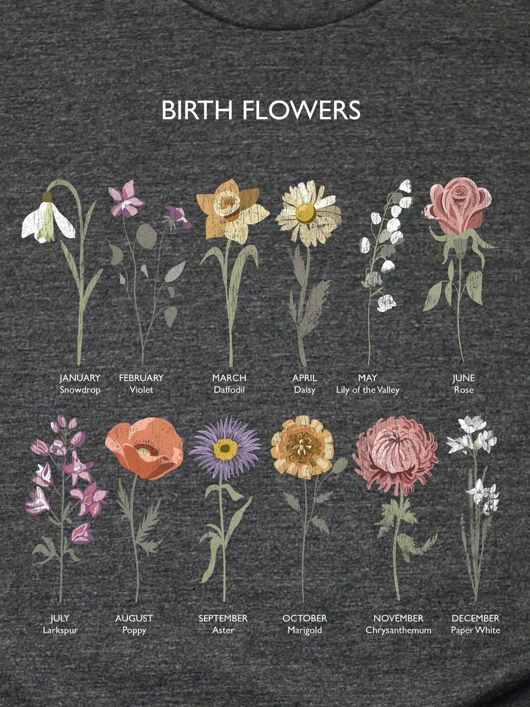 Pin On Birth Flowers